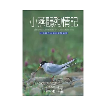 小燕鷗殉情記:小燕鷗在台灣的繁殖情事