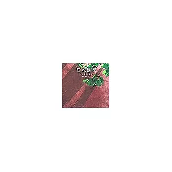 紅城戀影:老臺南歷史散步