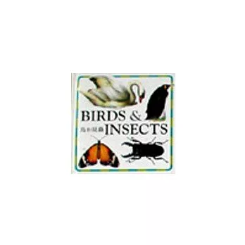 幼幼小書—鳥和昆蟲