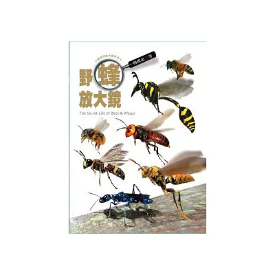 野蜂放大鏡