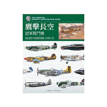 鷹擊長空:盟軍戰鬥機