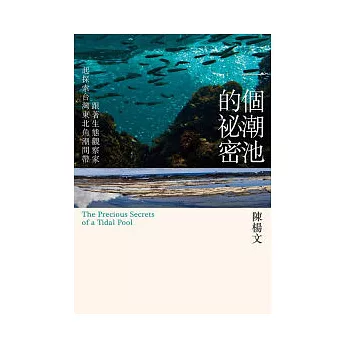 一個潮池的秘密:跟著生態觀察家一起探索台灣東北角潮間帶