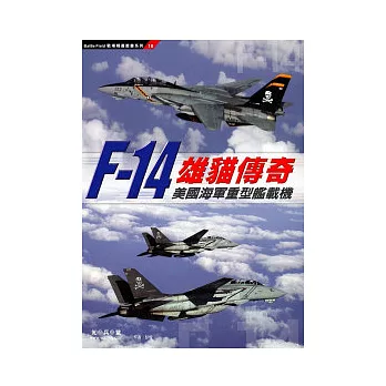 雄貓傳奇:F-14美國海軍重型艦載機