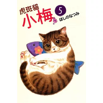 虎斑貓小梅 5