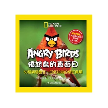 Angry Birds憤怒鳥的真面目:50種橫眉豎目、怒氣沖沖的憤怒鳥類
