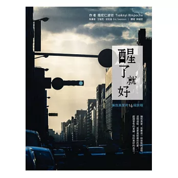 醒了就好:擁抱真愛的14段旅程