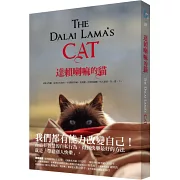 達賴喇嘛的貓：又稱小雪獅，是來自天堂的、不受限的幸福，是美麗、珍貴的提醒，叫人要活、在、當、下。