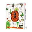 蔬療:吃對蔬菜,打造抗病體質,三高、濕疹、內分泌失調、婦兒科雜症、失眠、憂鬱……統統再見!