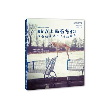 蛤?!上面有隻狗:沒有瑪蒂站不上去的地方