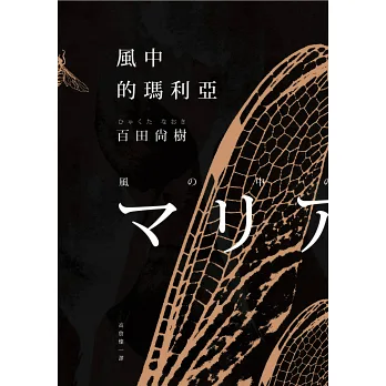 風中的瑪利亞