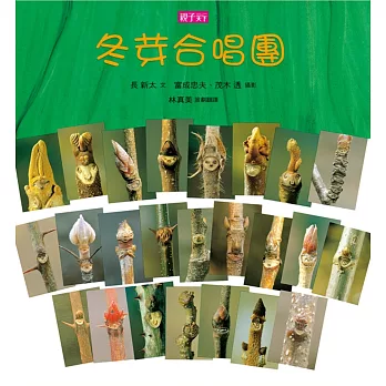 冬芽合唱團(新版)