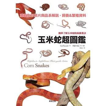 玉米蛇超圖鑑:簡單了解玉米蛇的飼養要訣