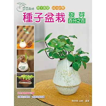 豆豆森林種子盆栽發芽百分之百