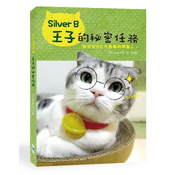 Silver B王子的秘密任務:教你從8大方面養好喵星人!