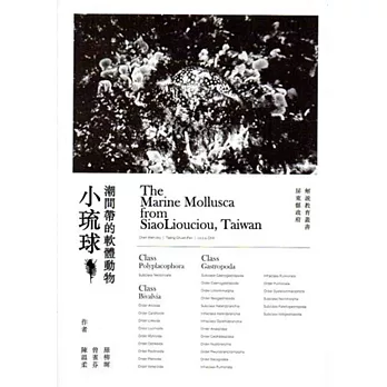 小琉球潮間帶軟體動物