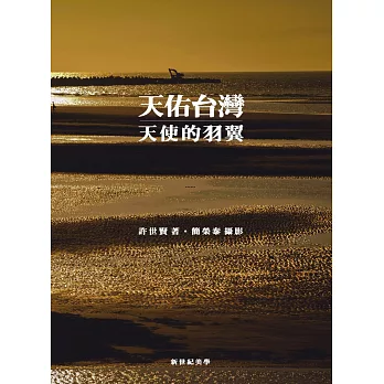 天佑臺灣:天使的羽翼(彩色)