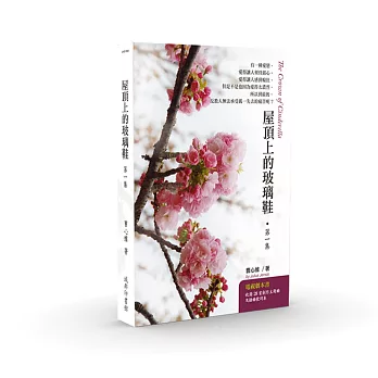 屋頂上的玻璃鞋‧第一集