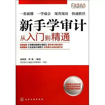 新手學審計:從入門到精通