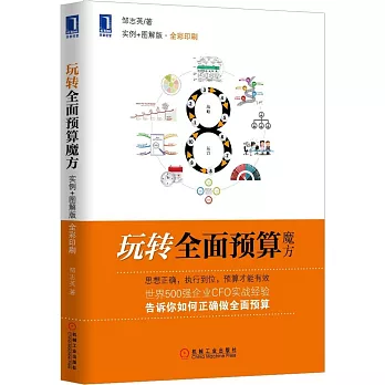 玩轉全面預算魔方(實例+圖解版·全彩印刷)