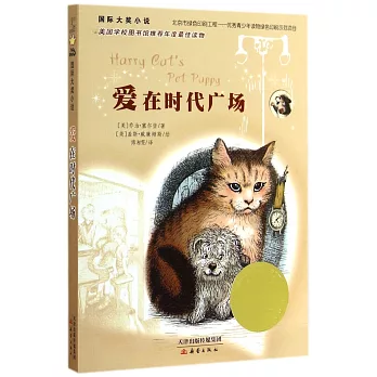 國際大獎小說:愛在時代廣場