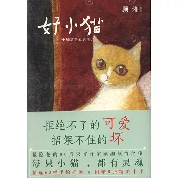 好小貓:小貓就是真善美