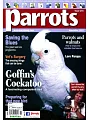 Parrots  第214期 11月號/2015