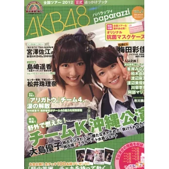 AKB48全國巡迴公演寫真專集VOL.2:附口罩