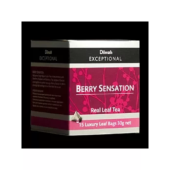 Dilmah帝瑪 風情苺果茶-三角立體茶包(超商取貨)