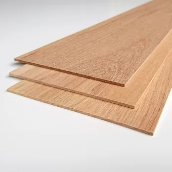 木片(厚度0.2公分)