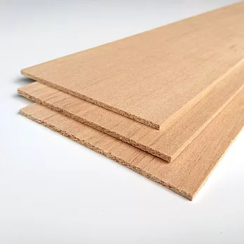 木片(厚度0.3公分)