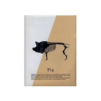 X-ray 透視檔案夾-Pig 豬