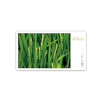 【 frogfree.com 】台灣稻香味系列明信片-稻香系列一套