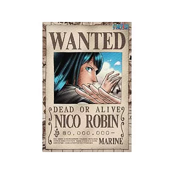 海賊王羅賓懸賞夜光拼圖300片