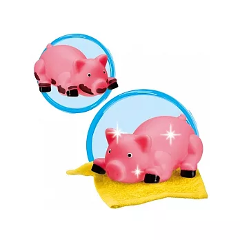 【美國ALEX】愛洗澡的小豬