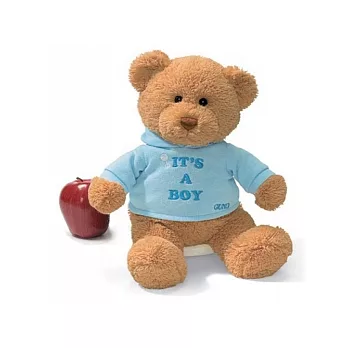 美國Gund帽T泰迪熊-男孩