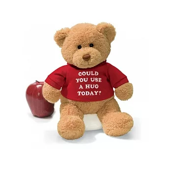 美國Gund 帽T泰迪熊-愛的抱抱