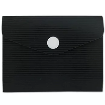 instax mini album 信封式收納相冊(2入)/黑(2入)