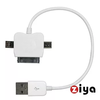 Apple USB Dock、mini USB 及 Micro USB to USB三合一充電傳輸線(白色)白色