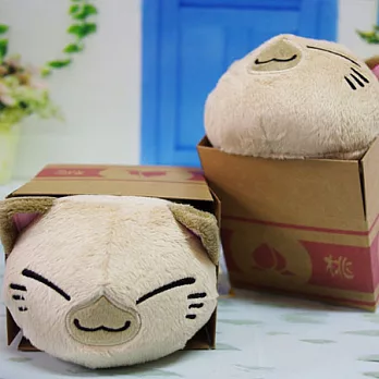 箱貓絨毛娃娃(桃子箱貓)---FuRyu出品(日版原裝)