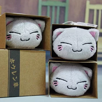 箱貓絨毛娃娃吊飾(波菜箱貓)---FuRyu出品(日版原裝)