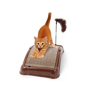 貓爪金鋼砂遊戲修腳板