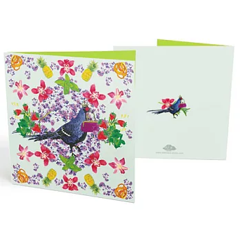 問候卡-臺灣帝雉(一套三入)