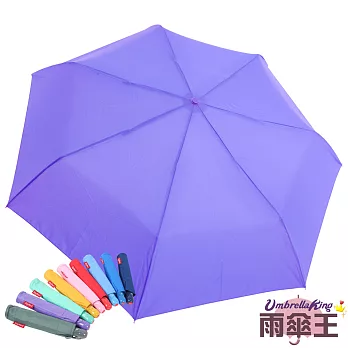 【雨傘王】BigRed冰棒傘-紫色☆自開收 超防潑水 隨身最愛傘