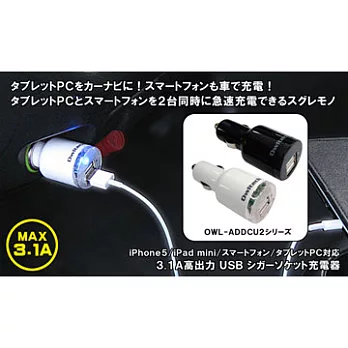 Owltech 3.1A車用急速充電器(白色)白色