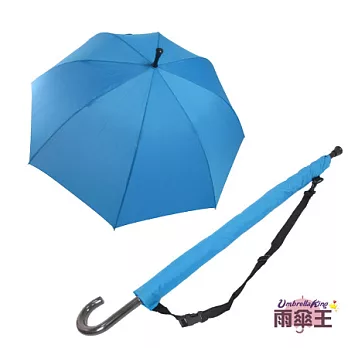 【雨傘王】BigRed大黃蜂-水藍☆大傘面 堅固防風自動直傘