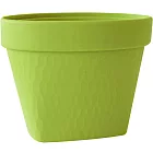 《Waybe》桌面垃圾桶(綠)