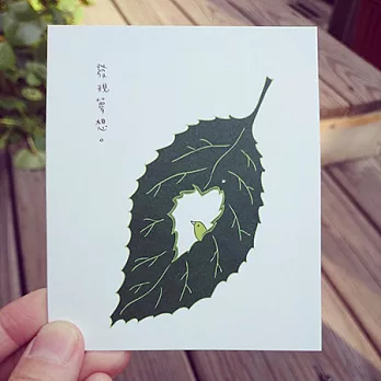 《KerKerland》發現夢想/小卡