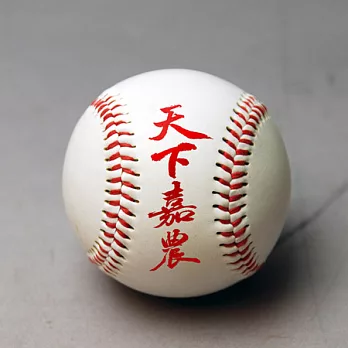 《KANO》天下嘉農紀念球