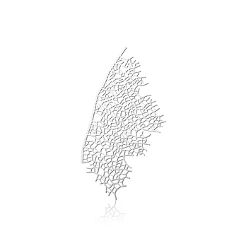 moorigin / 葉脈胸針 / 銀白