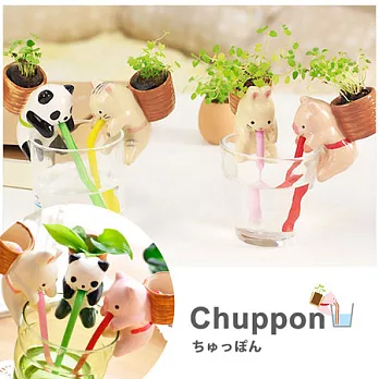 kiret 日本熱賣 療癒DIY吸管喝水小盆栽寵物辦公室小園藝 動物盆栽 吸水盆栽